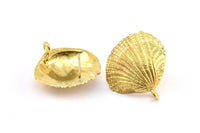 Brass Shell Earring, 2 Raw Brass Sea Shell Earring with 1 Loop, Charms, Findings (33x37mm) N0801