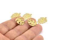 Brass Monstera Charm, 24 Raw Brass Monstera Leaf Charms With 1 Loop, Findings (20x14x0.30mm) F123