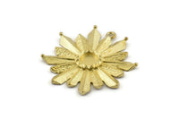 Brass Rosette Charm, 2 Raw Brass Badge Charm Pendants With 1 Loop, Earrings - Pad Size 6mm (33x35mm) N0744