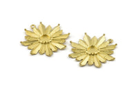 Brass Rosette Charm, 2 Raw Brass Badge Charm Pendants With 1 Loop, Earrings - Pad Size 6mm (33x35mm) N0744