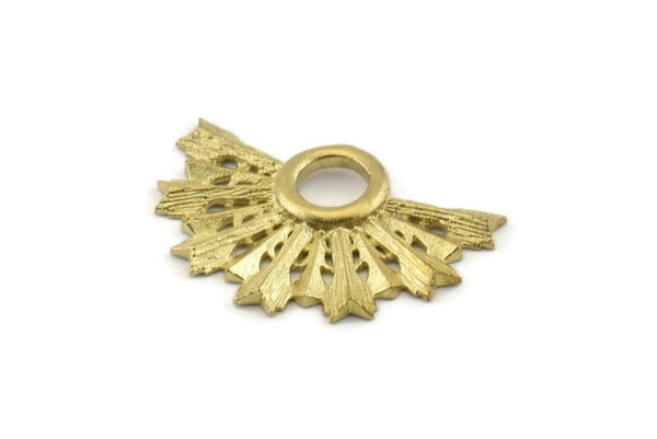 Brass Badge Charm, 2 Raw Brass Rosette Charm Pendants, Earrings, Findings (32x21mm) N0754