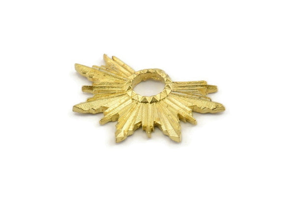 Brass Badge Charm, 2 Raw Brass Rosette Charm Pendants, Earrings, Findings (33x22mm) N0760