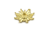 Brass Badge Charm, 4 Raw Brass Rosette Charms With 1 Loop, Pendants, Earrings (28x26mm) N0835