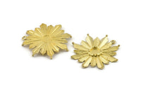 Brass Rosette Charm, 2 Raw Brass Badge Charm Pendants With 1 Loop, Earrings - Pad Size 6mm (33x35mm) N0744