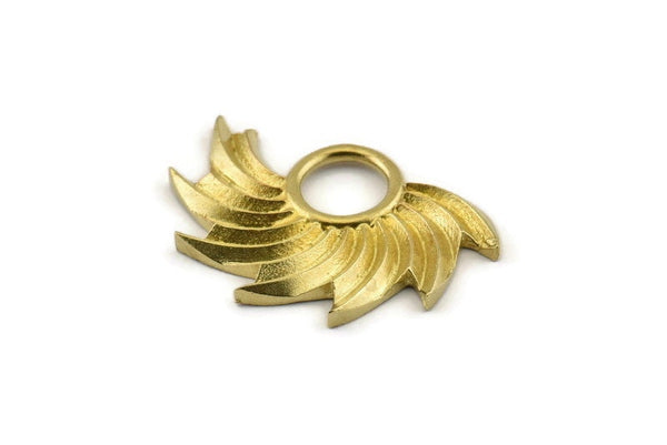 Brass Badge Charm, 2 Raw Brass Rosette Charms, Pendants, Earrings, Findings (32x23mm) N0945