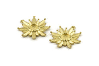 Brass Badge Charm, 4 Raw Brass Rosette Charms With 1 Loop, Pendants, Earrings (28x26mm) N0835